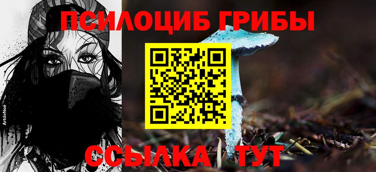 Лангепас  Галлюциногенные грибы ЛСД  Вход с VPN 
